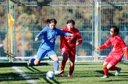 开云在线直播-女足锦标赛燃爆体育场，观赛热情高涨的简单介绍