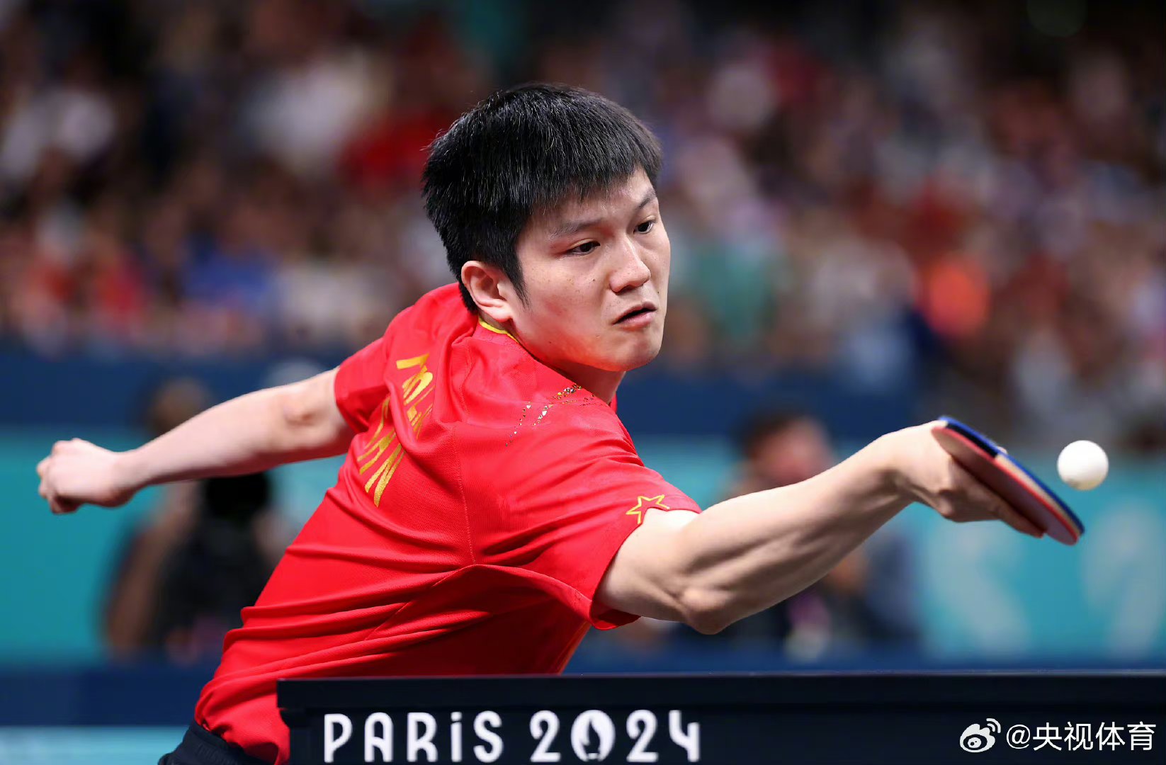 包含中国乒乓球队险胜法国乒乓球队，樊振东高光表现的词条