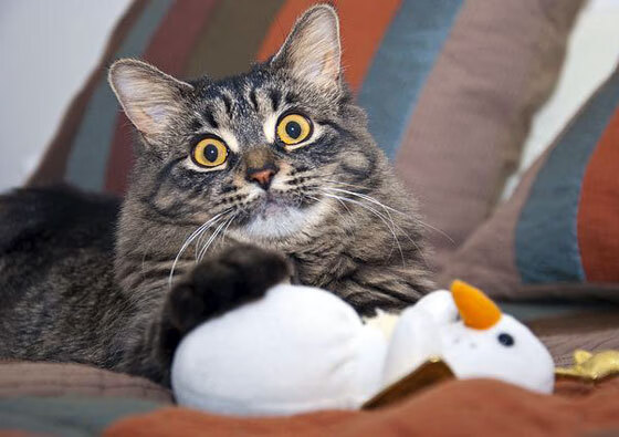 从亚特兰大到米兰，封锁的艺术与接管的意志