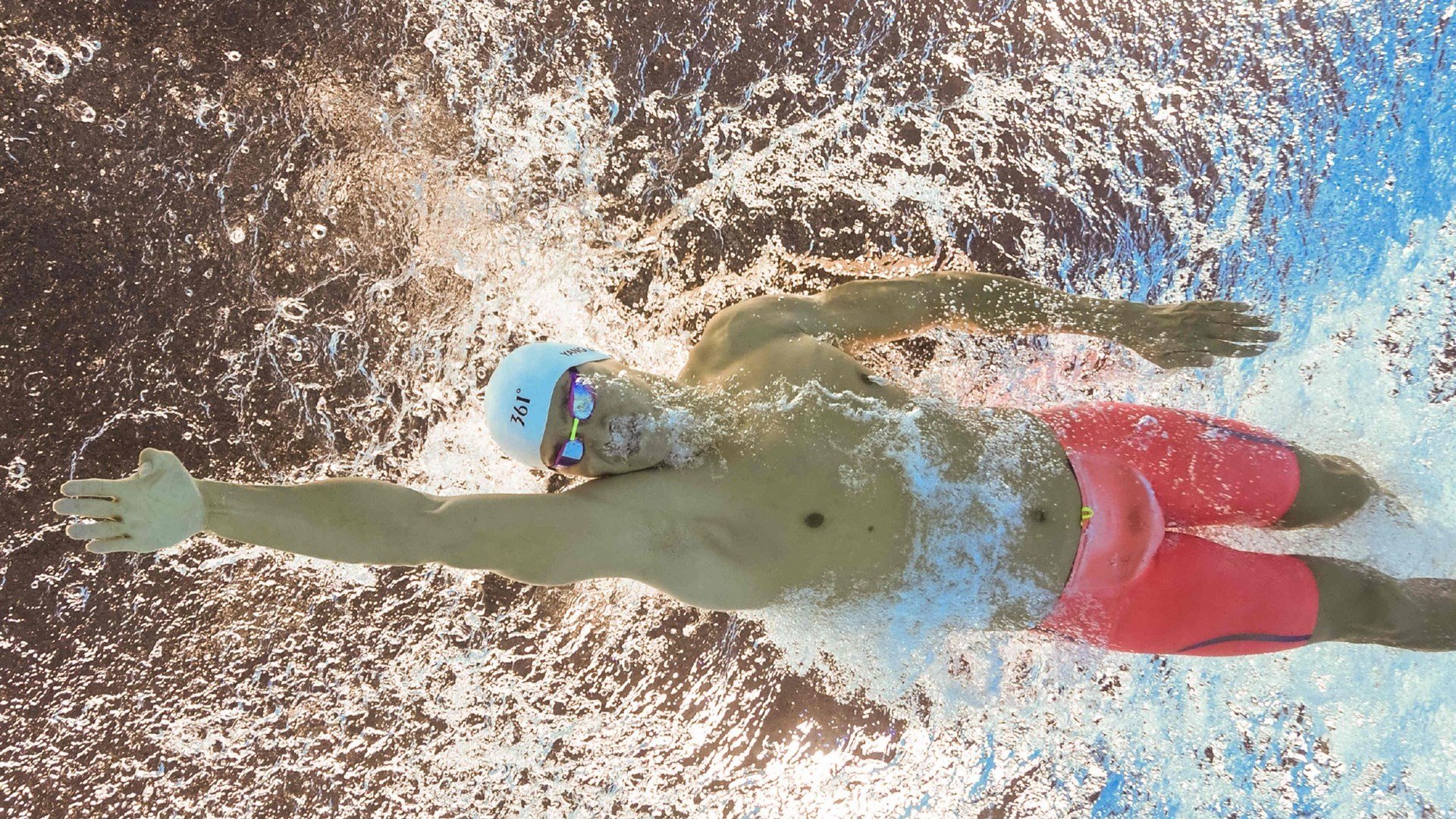 黑蜂逆袭,当夏洛特的飓风席卷广厦